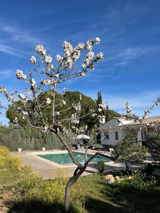 Casa Galiana. Villa Argés Eksteriør bilde